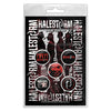 Button Badge Set - Halestorm - Portrait