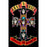 Deluxe Flag - Guns N Roses - Appetite for Destruction