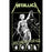 Deluxe Flag - Metallica - And Justice For All - Band