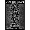 Deluxe Flag - Joy Division - Unknown Pleasures